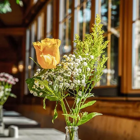 Voralpenhotel Schmoller 3* Sankt Georgen im Attergau