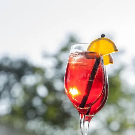 Voralpenhotel Schmoller Ξενοδοχείο Sankt Georgen im Attergau