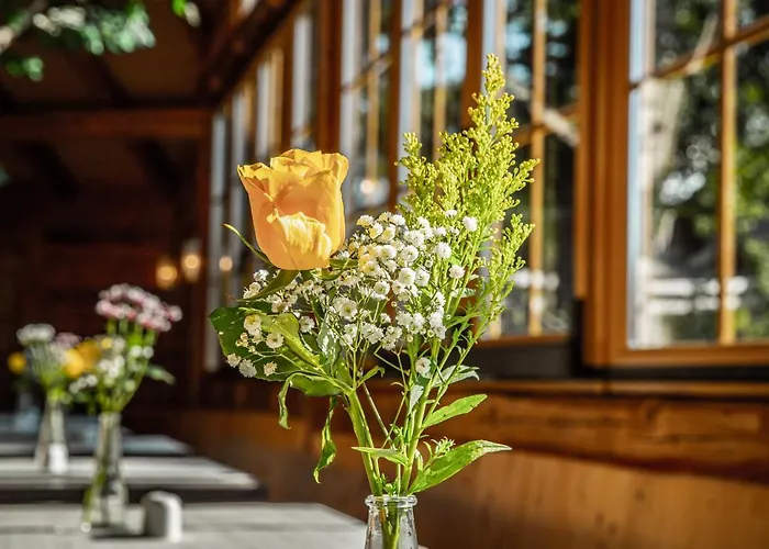 Voralpenhotel Schmoller 3* Sankt Georgen im Attergau